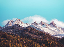 开云官网｜在云端开启生活美学的入口