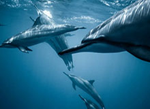 九游体育官网：开启体育世界的新入口